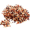 Tricolor quinoa red quinoa peru high quality